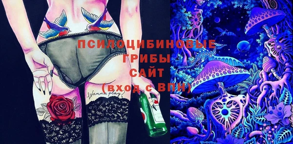 круглые Алзамай