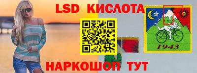 прущие грибы Чебоксары