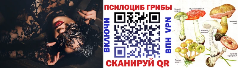 магазин продажи наркотиков  Подольск  Галлюциногенные грибы Psilocybine cubensis 