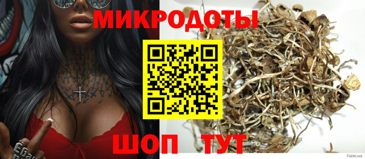 Галлюциногенные грибы Psilocybe  Галлюциногенные грибы Psilocybine cubensis  Подольск  Вход с VPN 